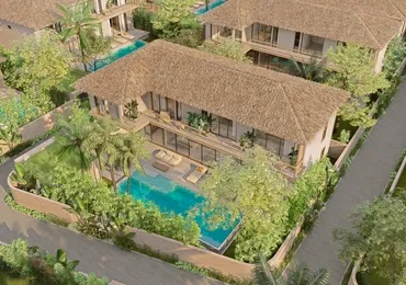 Pacific Noma - Over all